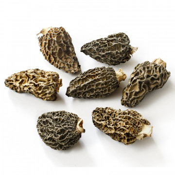 Les morilles séchées de qualité ! - lesagapes-lh.com